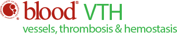Blood VTH Logo